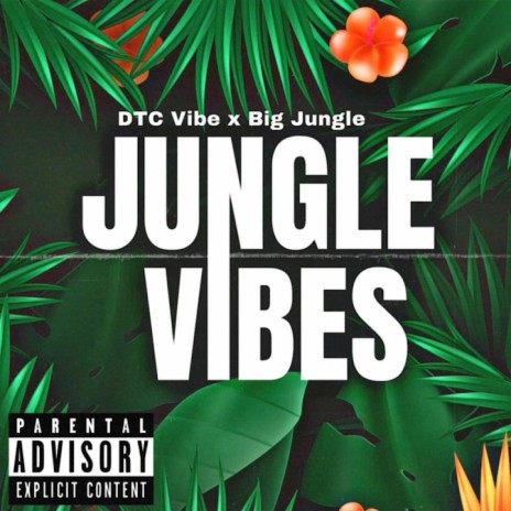 Jungle Vibes ft. Big Jungle | Boomplay Music