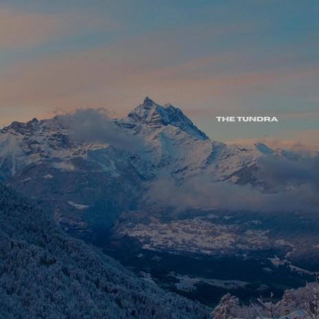 The Tundra | Boomplay Music