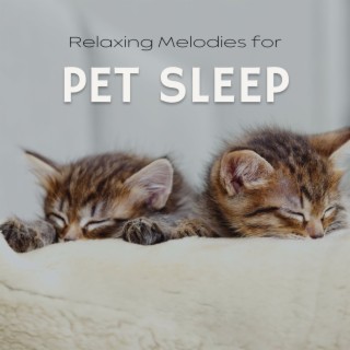 Relaxing Melodies for Pet Sleep