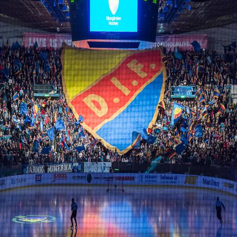 Dif Hockey (Vi är Djurgår’n!) | Boomplay Music