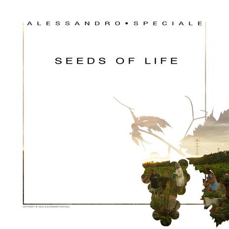 Seeds of Life, Pt. 1 | Boomplay Music