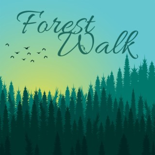 Forest Walk