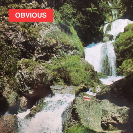 obvious | Boomplay Music
