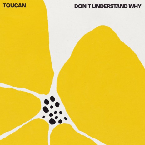Don't Understand Why | Boomplay Music