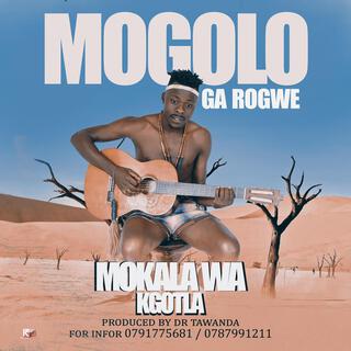 Mogolo ga rogwe