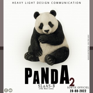 PANDA 2