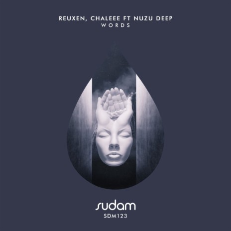 Words (Native Tribe & Da Q-Bic Remix) ft. Chaleee & Nuzu Deep | Boomplay Music
