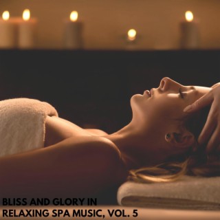 Bliss and Glory in Relaxing Spa Music, Vol. 5