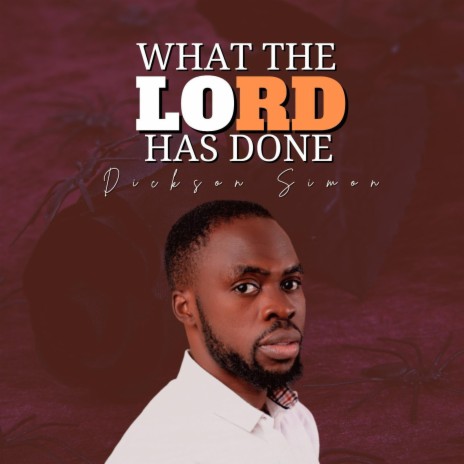 What The Lord Has Done | Boomplay Music