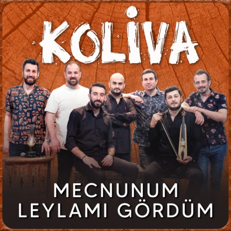 Mecnunum Leylamı Gördüm (Akustik) | Boomplay Music