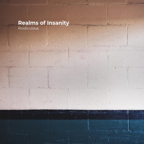 Realms of Insanity | Boomplay Music