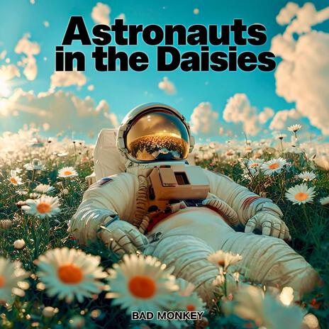 Astronauts In The Daisies | Boomplay Music