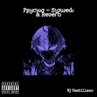 Psycho (Slowed & Reverb)
