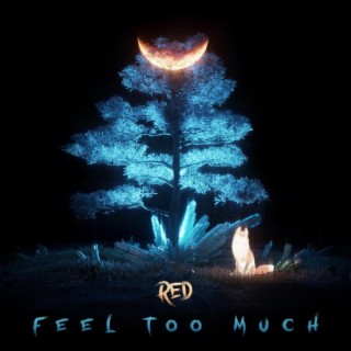 Feel Too Much lyrics | Boomplay Music