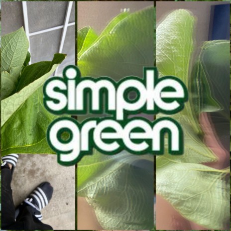 simplegreen (prod.Bear)