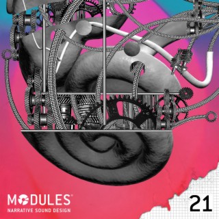 Modules 21