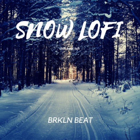 Snow Lofi | Boomplay Music
