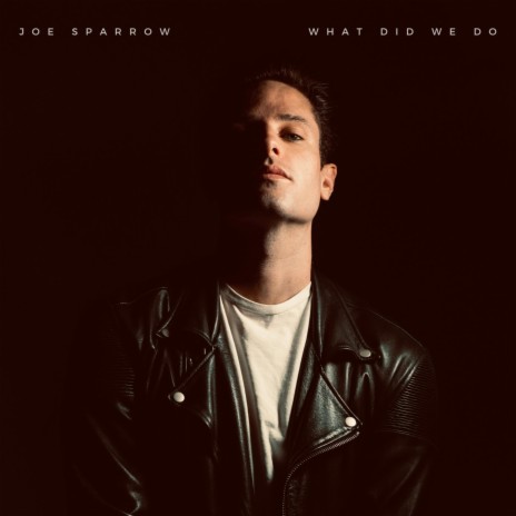 What Did We Do | Boomplay Music