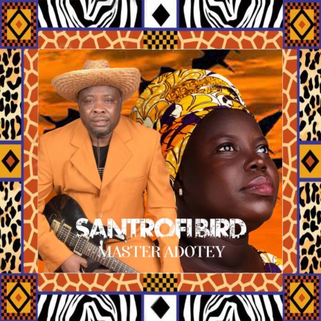 Santrofi Bird | Boomplay Music