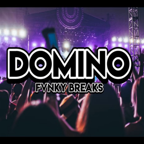 DJ Domino Fvnky breaks (Remix) | Boomplay Music