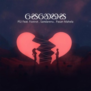 Senehasa (feat. Foxtrot , Sandarenu & Pasan Mahela)