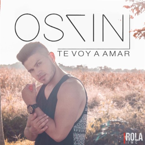 Te Voy a Amar | Boomplay Music