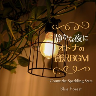 静かな夜に〜大人の贅沢BGM〜 - Count the Sparkling Stars