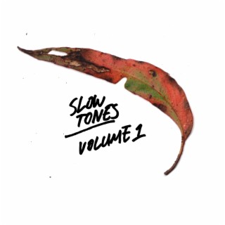 Slow Tones Volume 1