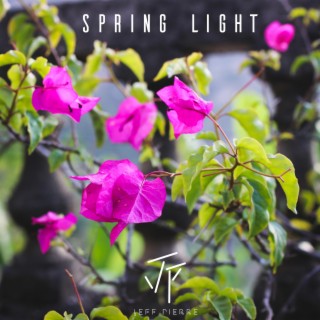 Spring Light (instr)