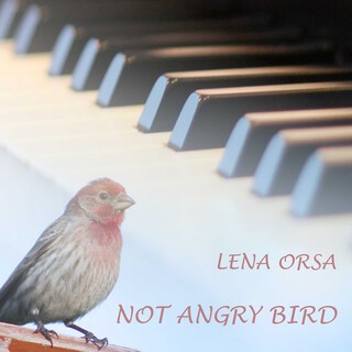 Not Angry Bird