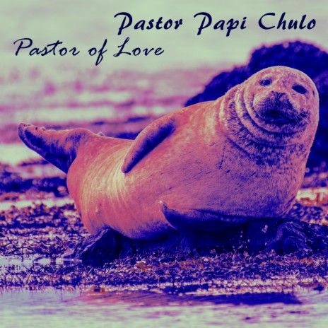 Pastor of Love | Boomplay Music