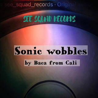 Sonic Wobbles