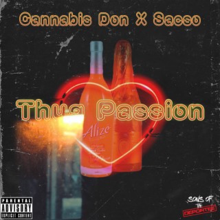 Thug Passion ft. Saeso lyrics | Boomplay Music