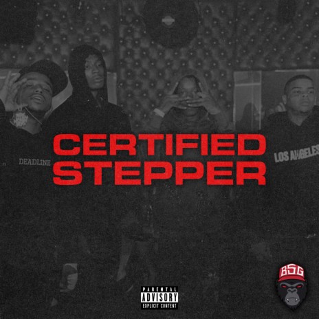 Certified Stepper | Boomplay Music