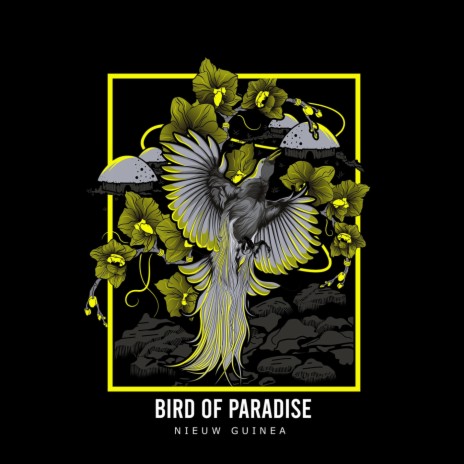 Bird of Paradise - Nieuw Guinea | Boomplay Music