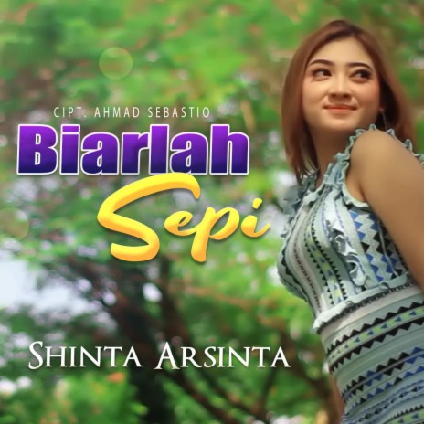 Biarlah Sepi | Boomplay Music