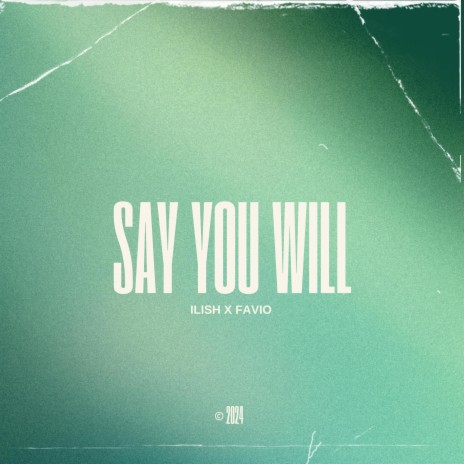 Say You Will ft. Favio
