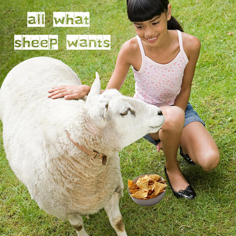 All what Sheep wants | Boomplay Music