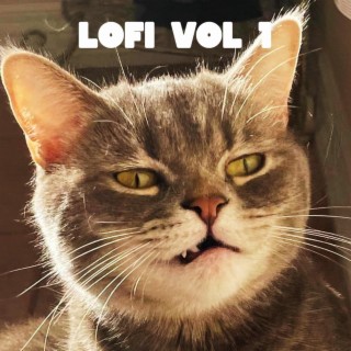 Lofi Tape, Vol. 1
