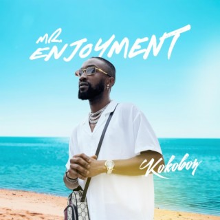 MR Enjoyment lyrics | Boomplay Music