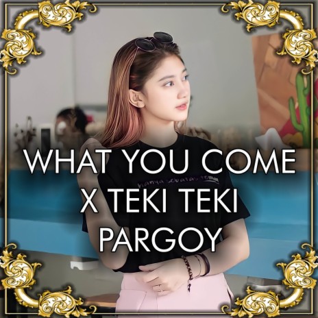 DJ What You Come X Teki Gan Pargoy - Inst | Boomplay Music