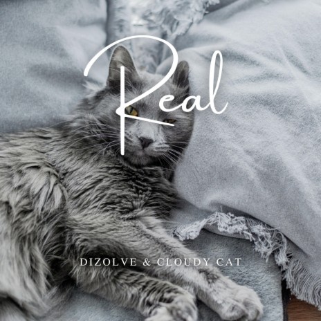 Real ft. Cloudy Cat & Vital Lofi | Boomplay Music