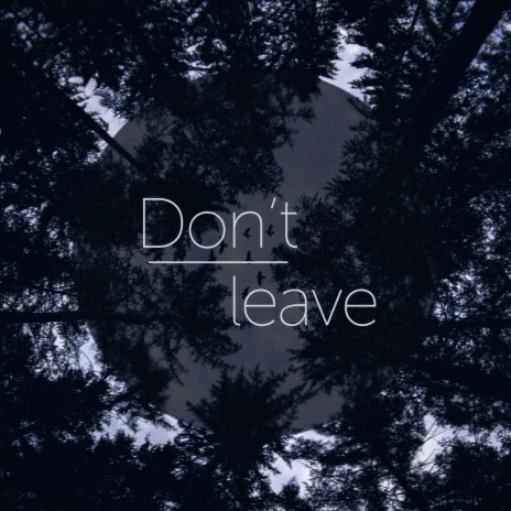 don't leave ft. Lirth | Boomplay Music