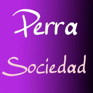 Perra Sociedad