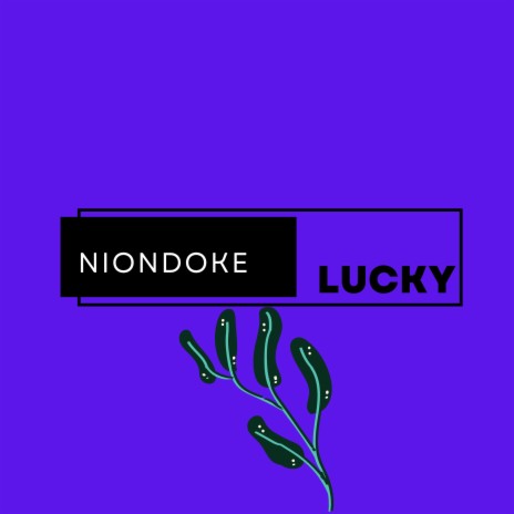 Niondoke | Boomplay Music