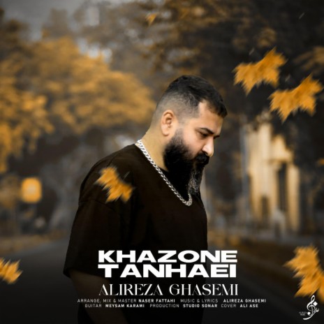 Khazone Tanhaei | Boomplay Music