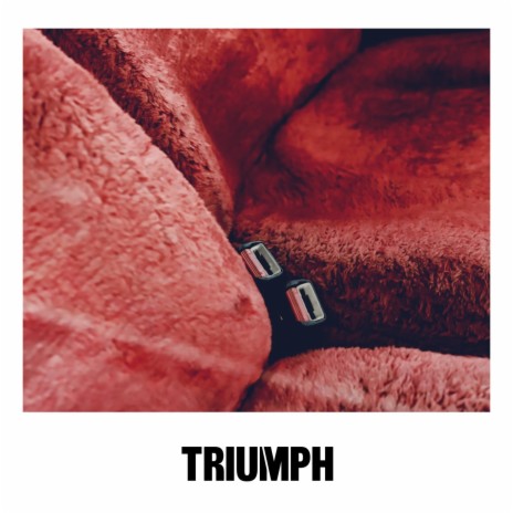 TRIUMPH (THERE IS NO ONE BUT ME REMIX) | Boomplay Music