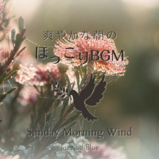 爽やかな朝のほっこりBGM - Sunday Morning Wind