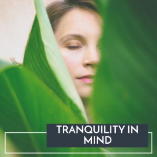 Tranquility in Mind