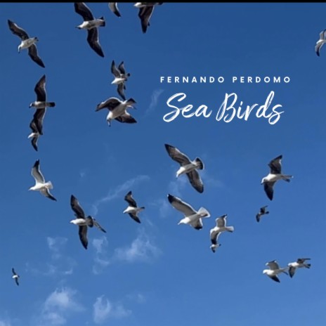 Sea Birds | Boomplay Music